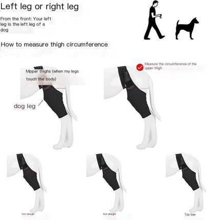 Hinged Knee Brace for Dogs - Cruciate Support and Improved immobilization