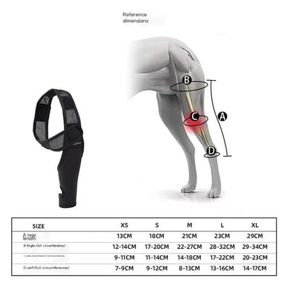 Hinged Knee Brace for Dogs - Cruciate Support and Improved immobilization