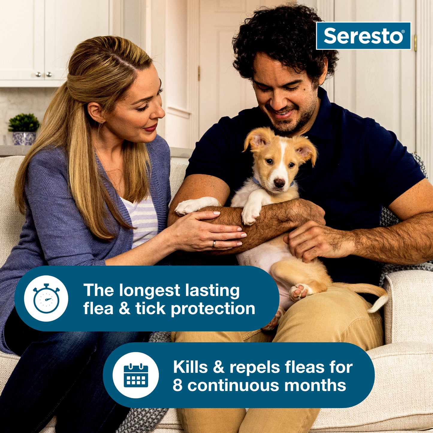 Seresto Small Dog Vet-Recommended Flea & Tick Treatment & Prevention Collar for Dogs Under 18 lbs.|8 Months Protection