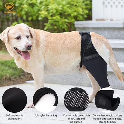 Knee Brace for Dogs - Cruciate Support