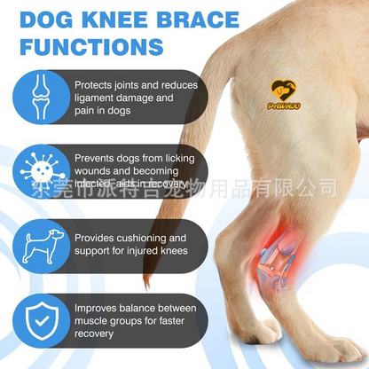 Hock Support Brace