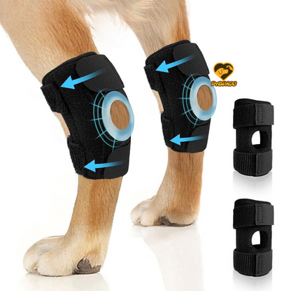 Hock Support Brace