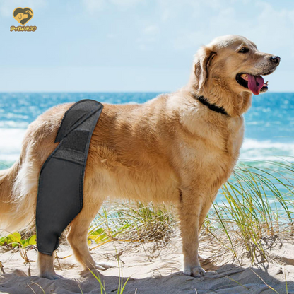 Knee Brace for Dogs - Cruciate Support