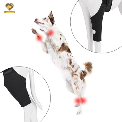 Knee Brace for Dogs - Cruciate Support