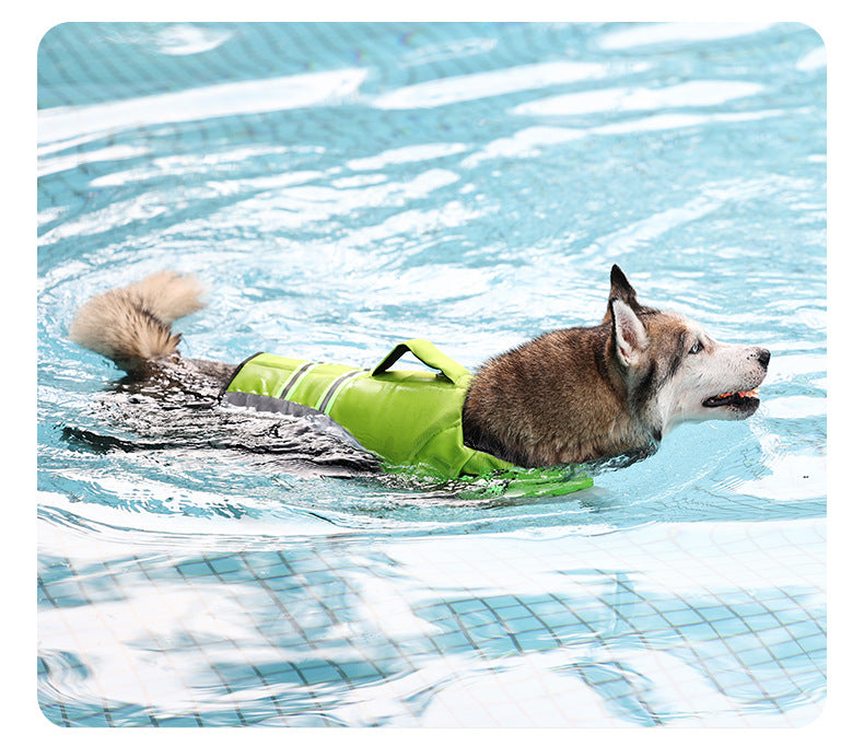 Chaleco salvavidas transpirable reflectante para perros con asa trasera