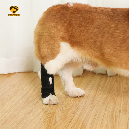 Carpal Wrap for Dogs - Prevention of Pain (Front Leg Support)