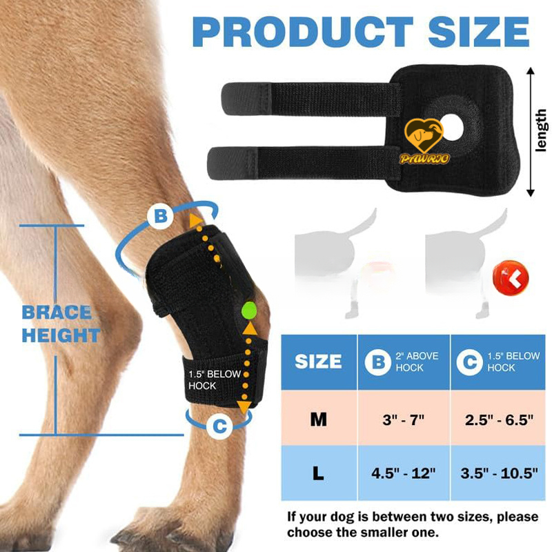 Hock Support Brace