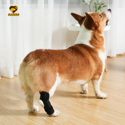 Carpal Wrap for Dogs - Prevention of Pain (Front Leg Support)