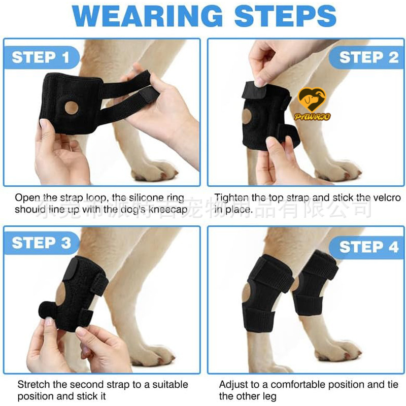 Hock Support Brace