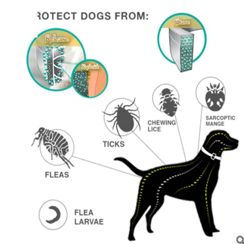 Collar de prevención y tratamiento contra pulgas y garrapatas recomendado por veterinarios Scalibor (todas las estaciones)|8 meses de protección|Repelente de pulgas y gusanos