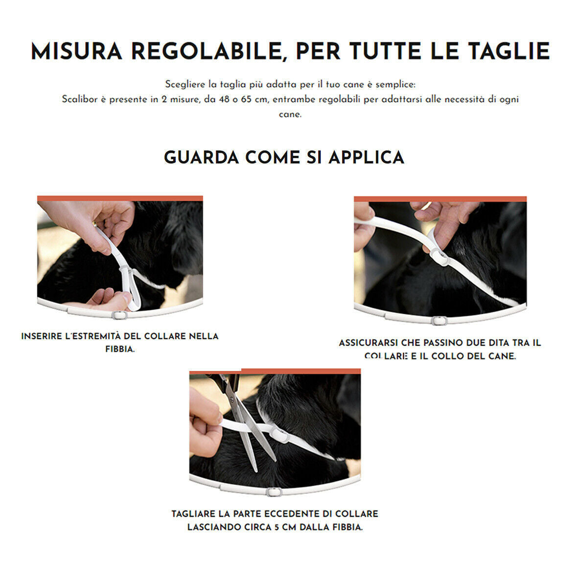 Collar de prevención y tratamiento contra pulgas y garrapatas recomendado por veterinarios Scalibor (todas las estaciones)|8 meses de protección|Repelente de pulgas y gusanos