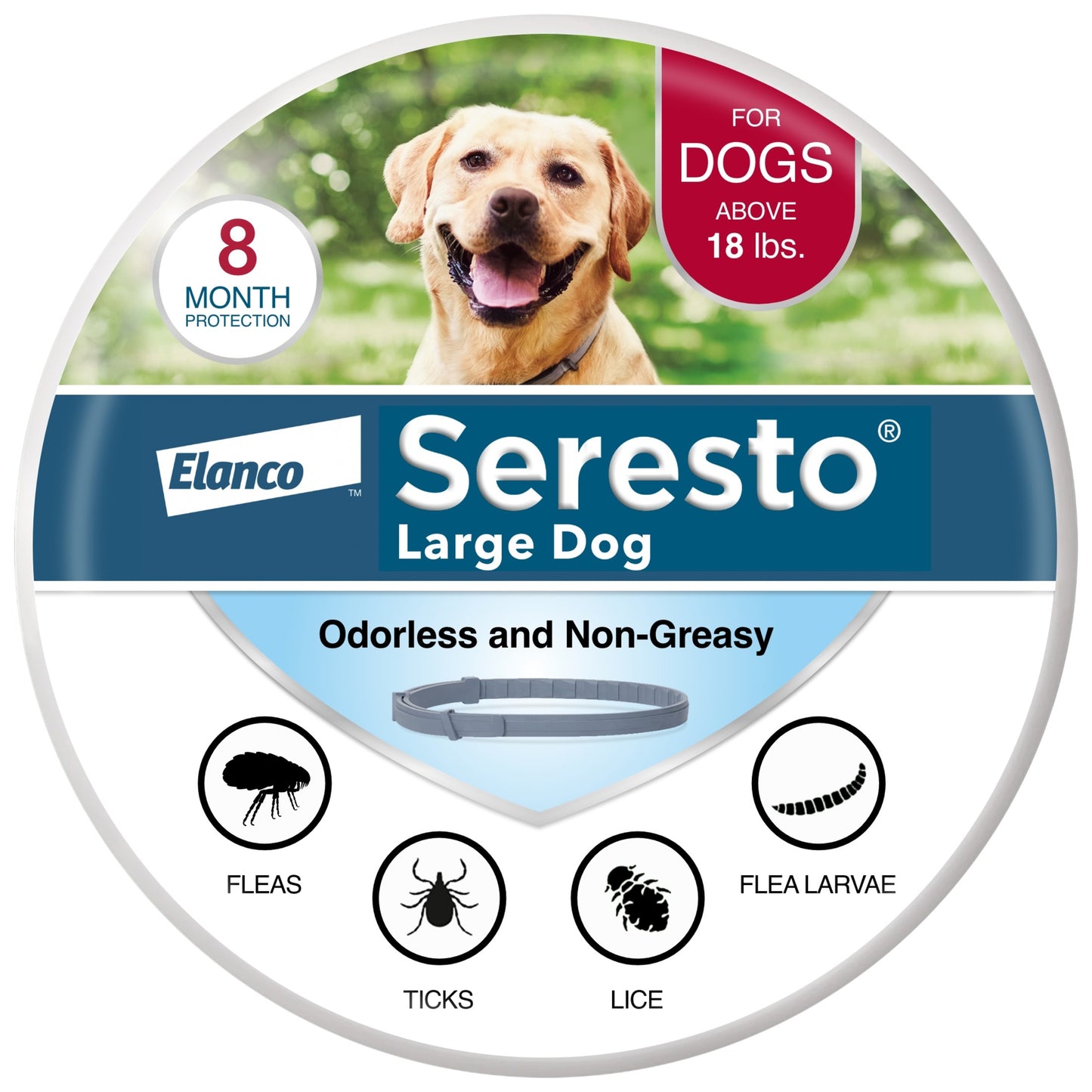 Seresto Small Dog Vet-Recommended Flea & Tick Treatment & Prevention Collar for Dogs Under 18 lbs.|8 Months Protection