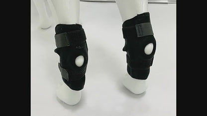 Hock Support Brace