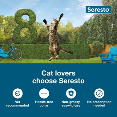 Seresto Cat Collar de prevención y tratamiento contra pulgas y garrapatas para gatos recomendado por veterinarios | 8 meses de protección 