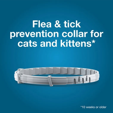 Seresto Cat Vet-Recommended Flea & Tick Treatment & Prevention Collar for Cats|8 Months Protection