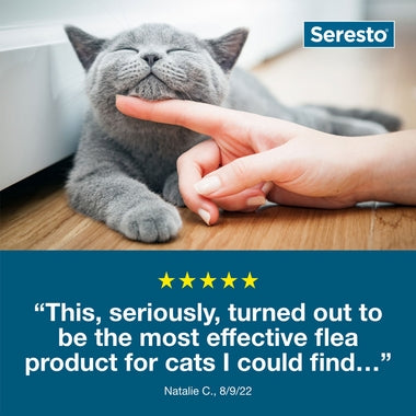 Seresto Cat Vet-Recommended Flea & Tick Treatment & Prevention Collar for Cats|8 Months Protection