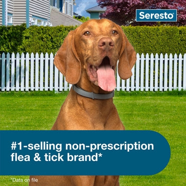 Seresto Small Dog Vet-Recommended Flea & Tick Treatment & Prevention Collar for Dogs Under 18 lbs.|8 Months Protection