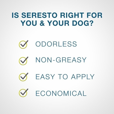 Seresto Collar de prevención y tratamiento contra pulgas y garrapatas para perros pequeños recomendado por veterinarios para perros de menos de 18 libras | 8 meses de protección 