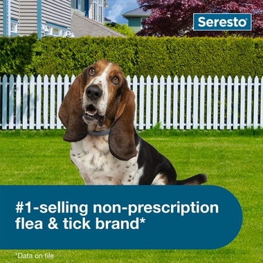 Seresto Small Dog Vet-Recommended Flea & Tick Treatment & Prevention Collar for Dogs Under 18 lbs.|8 Months Protection