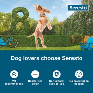 Seresto Collar de prevención y tratamiento contra pulgas y garrapatas para perros pequeños recomendado por veterinarios para perros de menos de 18 libras | 8 meses de protección 