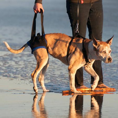 The Original Walkabout Back End Harness™