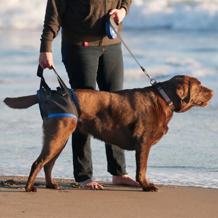 The Original Walkabout Back End Harness™