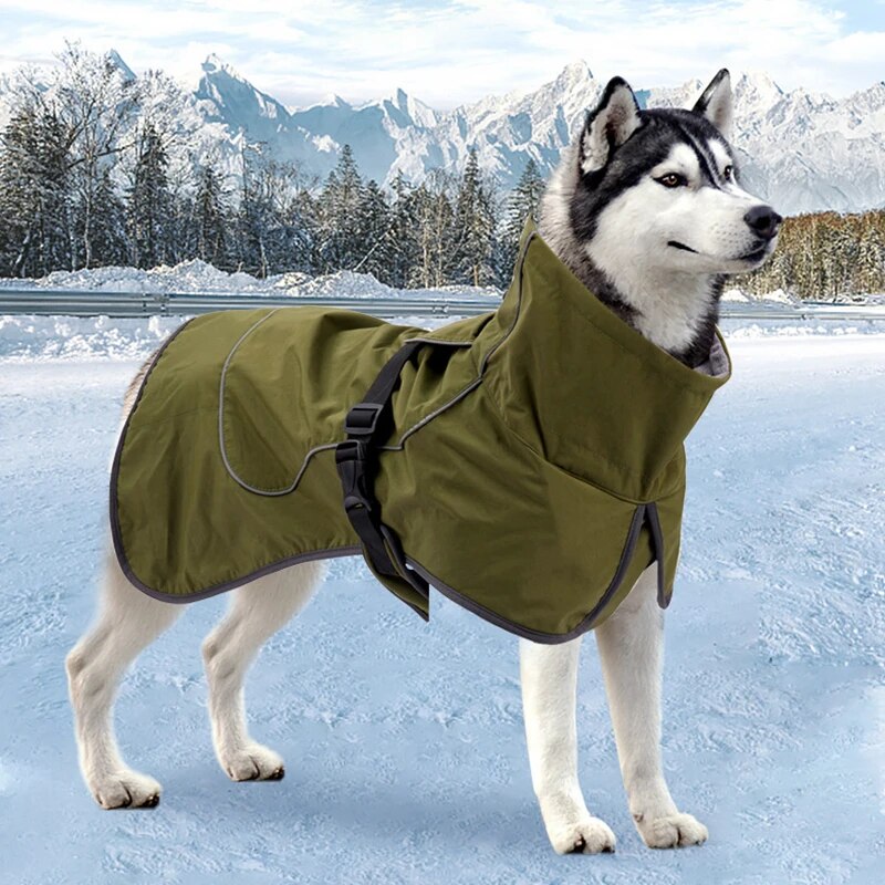 Chaquetas reflectantes del invierno del perro de la prenda impermeable y a prueba de viento del impermeable del perro con el interior del terciopelo