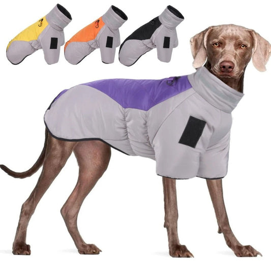 Abrigo de invierno para perros Ropa de abrigo para perros Chaqueta acolchada de algodón Chaqueta cálida para perros con cuello alto