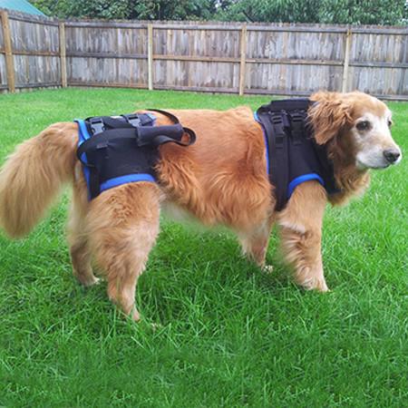 The Walkabout Harness Front and Rear Combination Harnesses